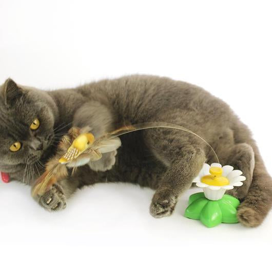 Juguete interactivo con pajaro para gatos