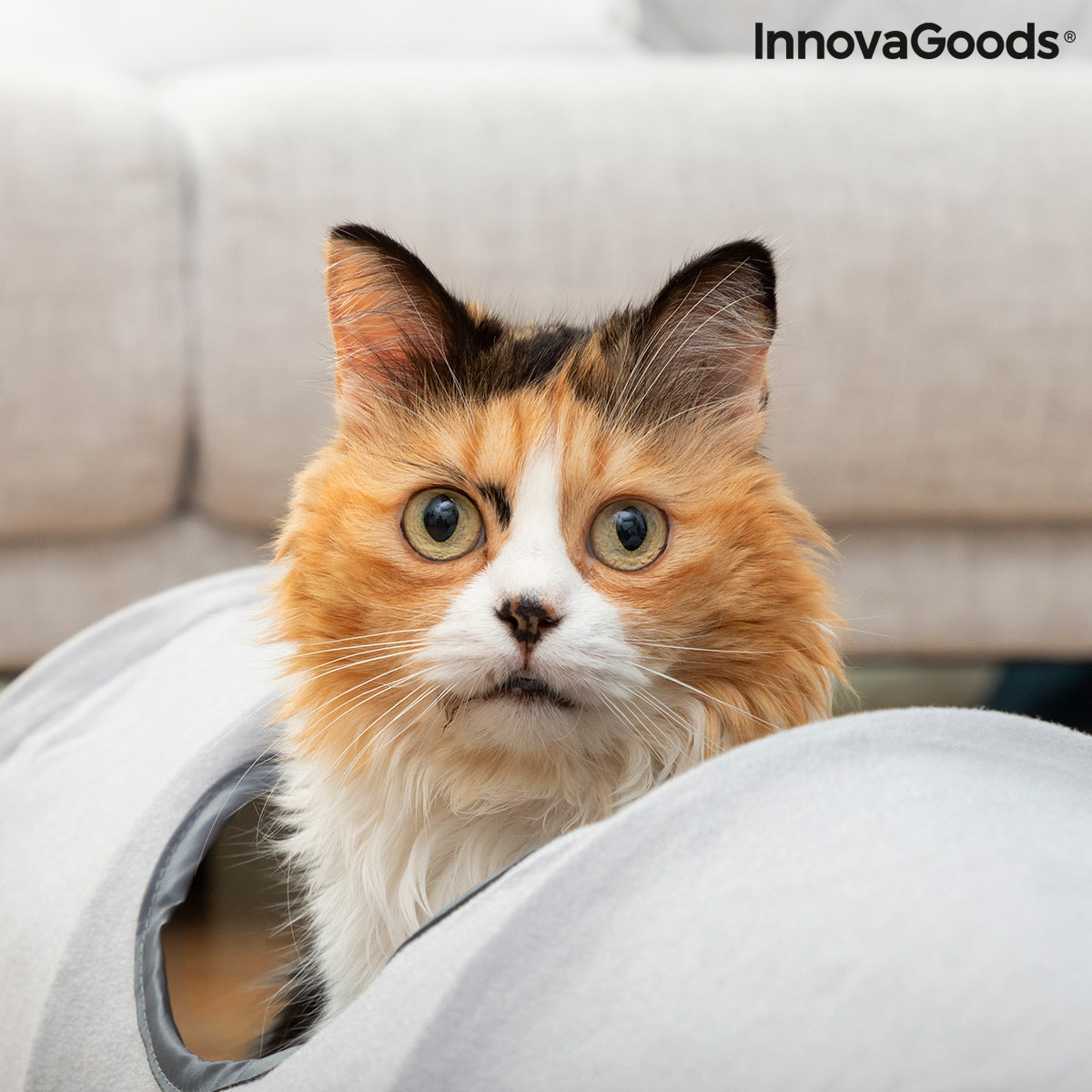 Tunel de juegos plegable funnyl para gatos