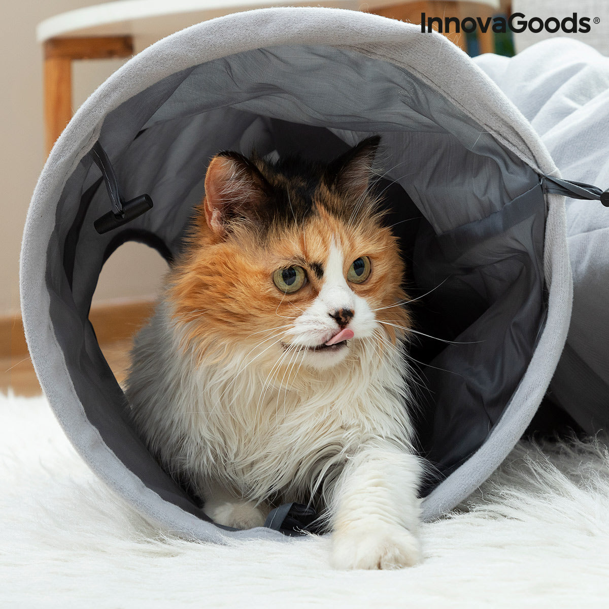 Tunel de juegos plegable funnyl para gatos