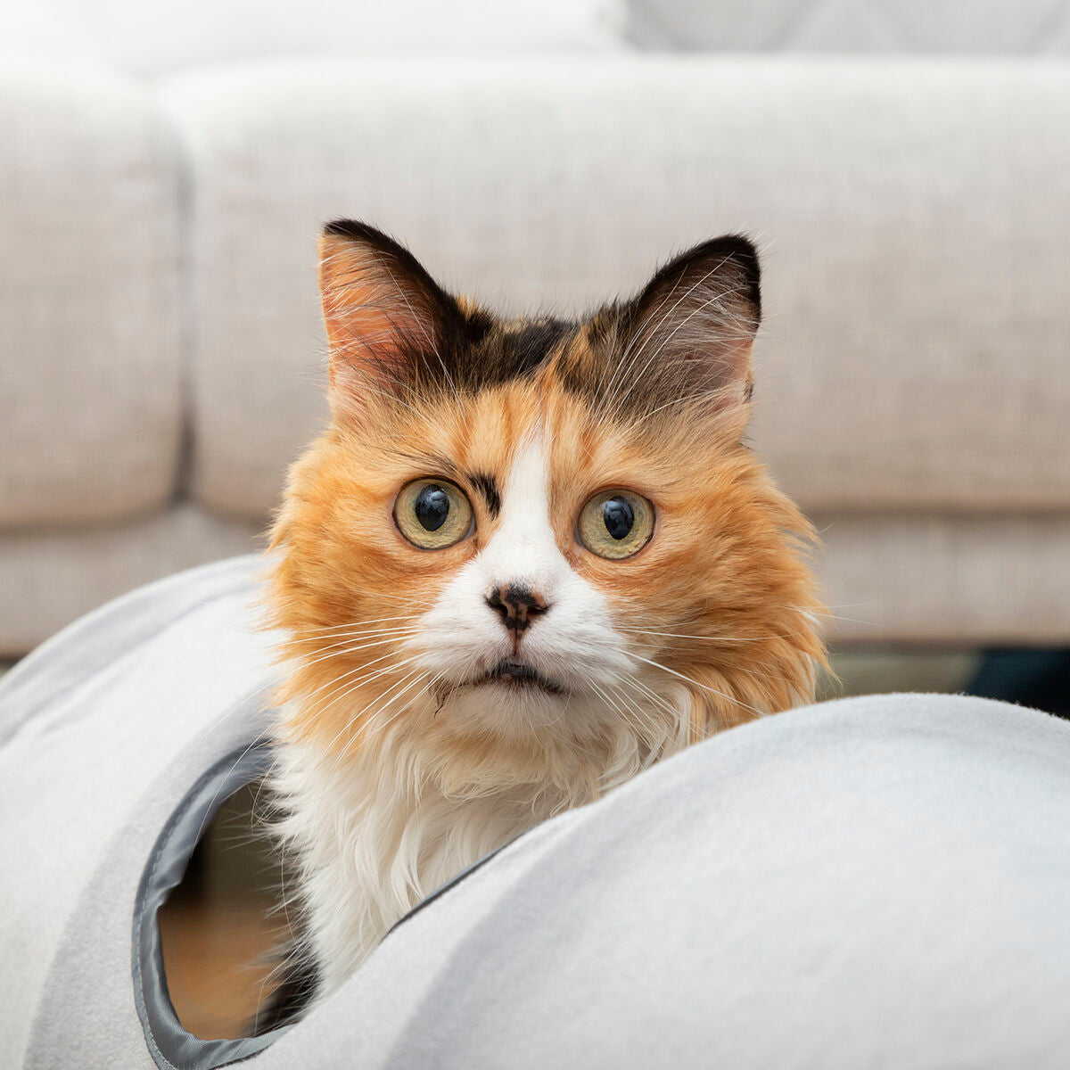 Tunel de juegos plegable funnyl para gatos