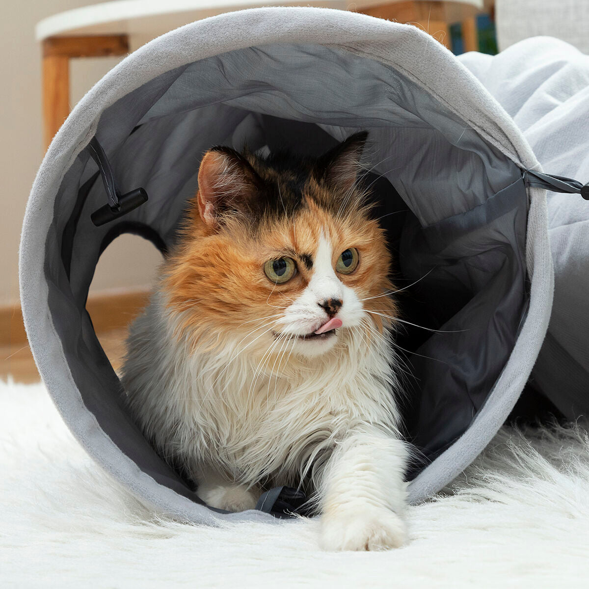 Tunel de juegos plegable funnyl para gatos